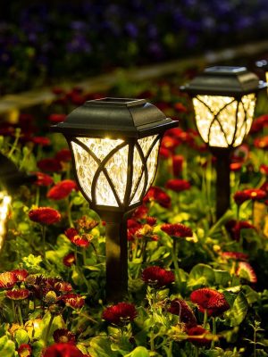 Solar Lights Outdoor Waterproof, 6 Pack  Solar Garden Lights, Outdoor Decorations, Garden Decor for Yard, Patio, Landscape, Planter, Walkway (Warm White)