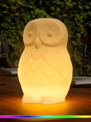 Outdoor Night Light Owl Garden Statue,  Color Changing Weatherproof Rechargeable  Cordeless Lamp with Remote for Lawn Decor, Outside Patio, Yard, Balcony