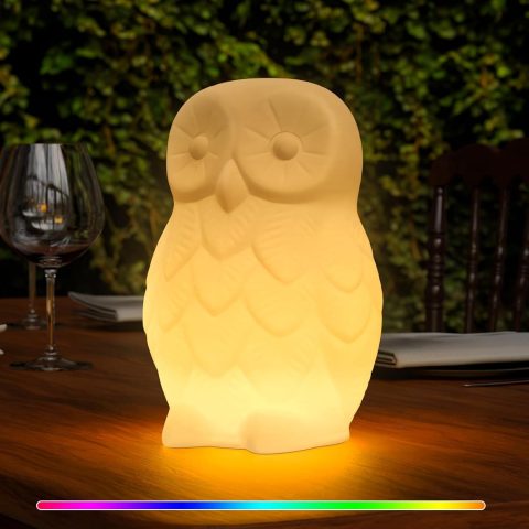 Outdoor Night Light Owl Garden Statue,  Color Changing Weatherproof Rechargeable  Cordeless Lamp with Remote for Lawn Decor, Outside Patio, Yard, Balcony